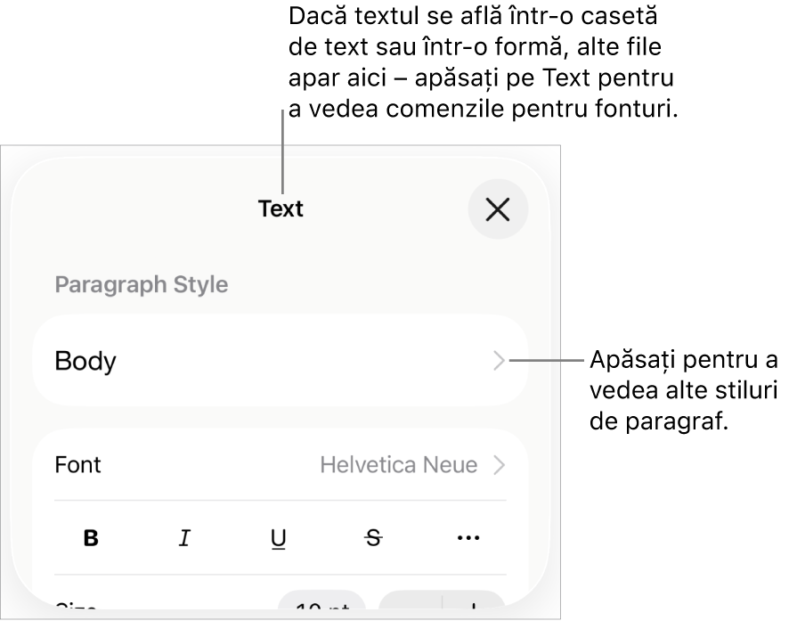 Meniul Format afișând comenzi de text pentru configurarea stilurilor, fonturilor, dimensiunii și culorii paragrafelor și caracterelor.