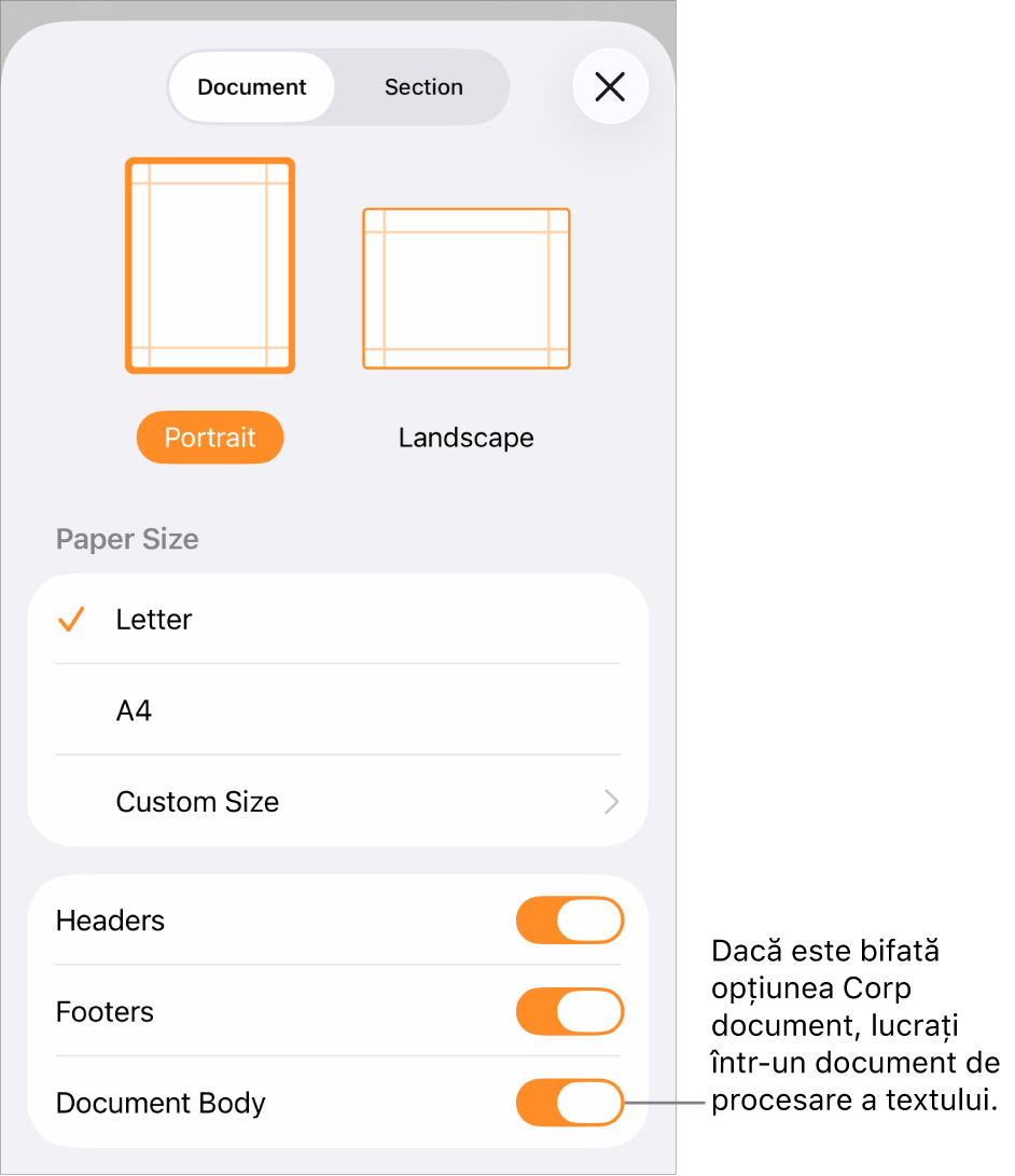 Meniul Configurare document deschis, cu opțiunea Corp document bifată într-un document de procesare a textului.