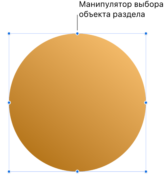 Объект с манипуляторами.