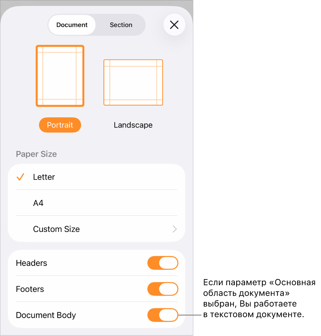 В текстовом документе открыто окно «Дизайн документа» и выбран параметр «Основная область документа».
