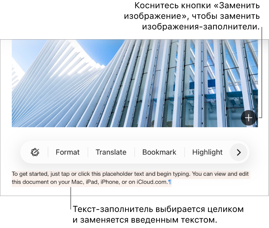 Текст-заполнитель и изображения-заполнители.