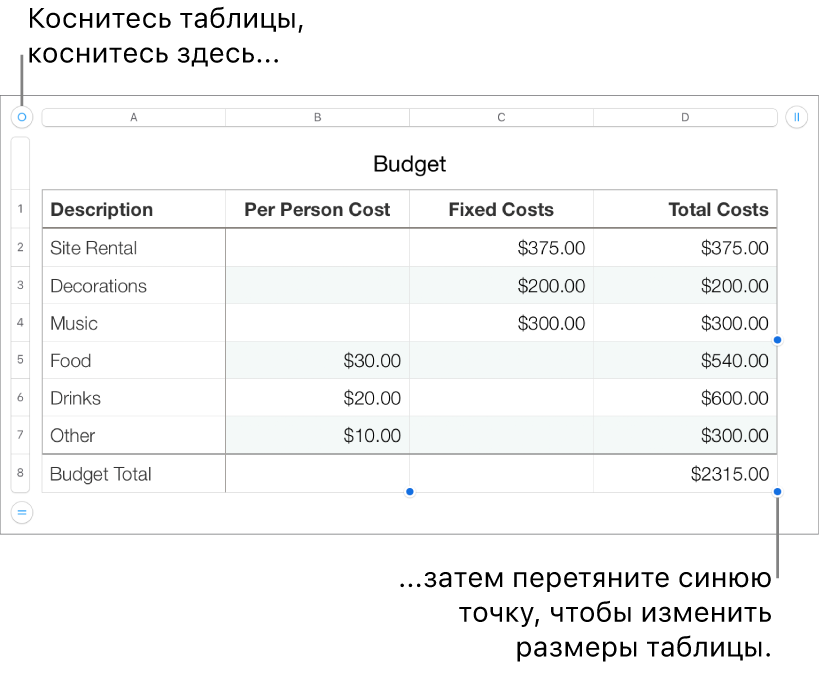 Выбранная таблица с синими точками для изменения размера.