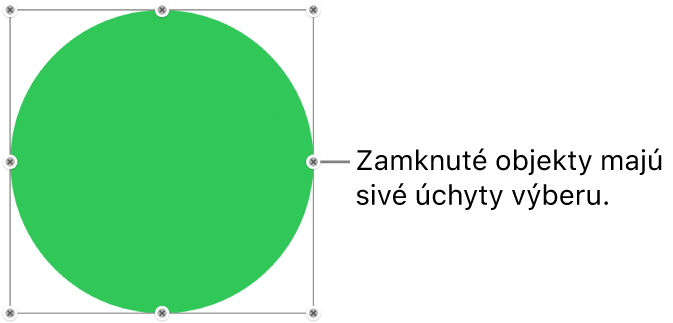 Zamknutý objekt s neaktívnymi úchytmi výberu.