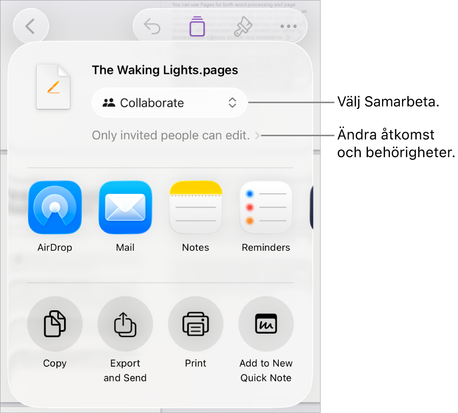 Delningsmenyn med Samarbeta markerat högst upp och tillgångs- och behörighetsinställningar under.