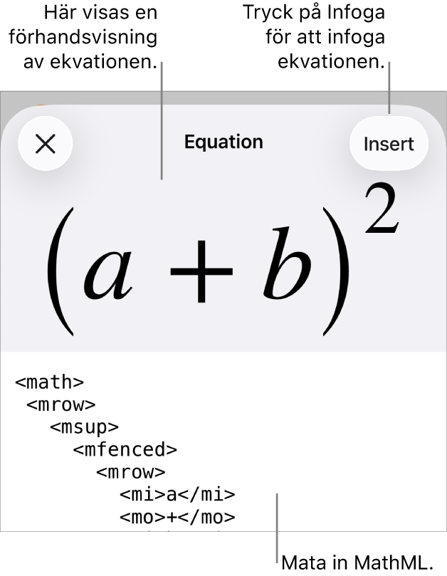 Dialogrutan Ekvation visar en ekvation som skrivits med MathML-kommandon och en förhandsvisning av formeln ovanför den.