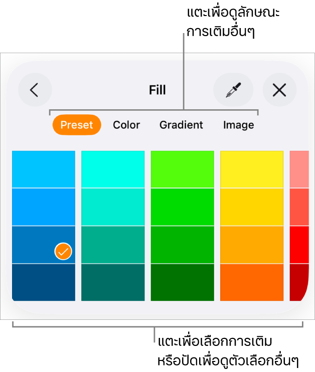 ตัวเลือกการเติมในแถบลักษณะของปุ่มรูปแบบ
