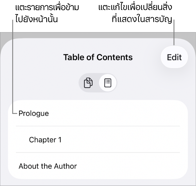 มุมมองสารบัญที่มีหัวเรื่องในรูปแบบรายการ ปุ่มแก้ไขอยู่ที่มุมขวาบนและที่ด้านล่างคือปุ่มรูปย่อของหน้าและสารบัญ