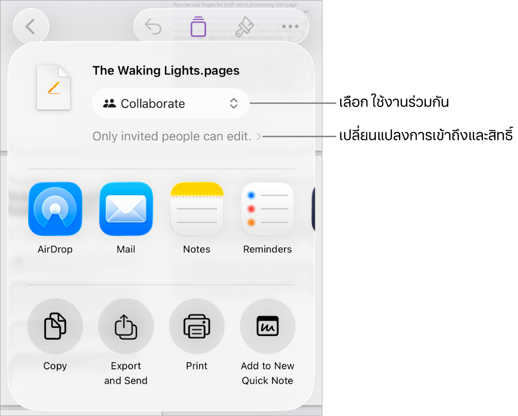 เมนูแชร์ที่มีใช้งานร่วมกันถูกเลือกอยู่ที่ด้านบนสุด และการตั้งค่าการเข้าถึงและสิทธิ์อยู่ที่ด้านล่าง