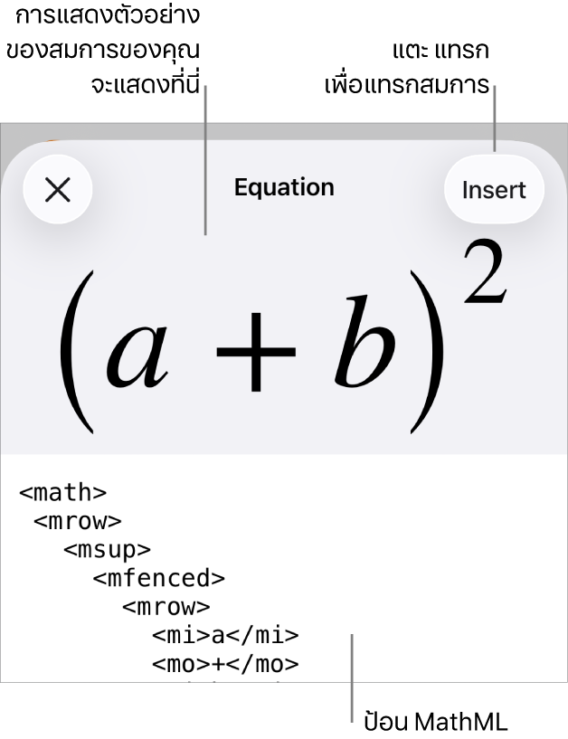 หน้าต่างโต้ตอบสมการ ที่แสดงสมการที่เขียนโดยใช้คำสั่ง MathML และการแสดงตัวอย่างของสูตรด้านบน