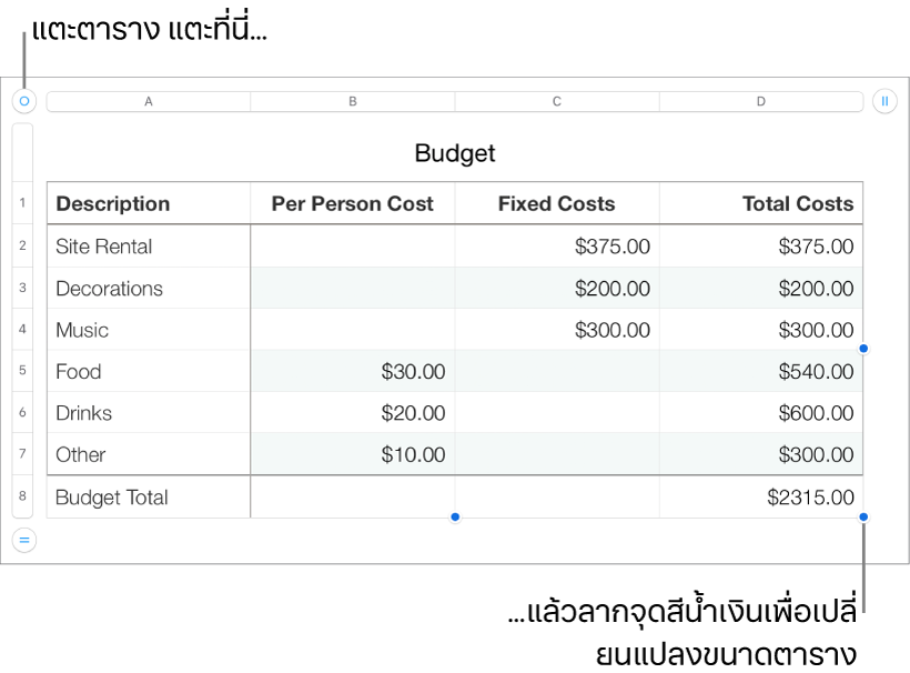 ตารางที่เลือกอยู่พร้อมจุดสีน้ำเงินสำหรับปรับขนาด