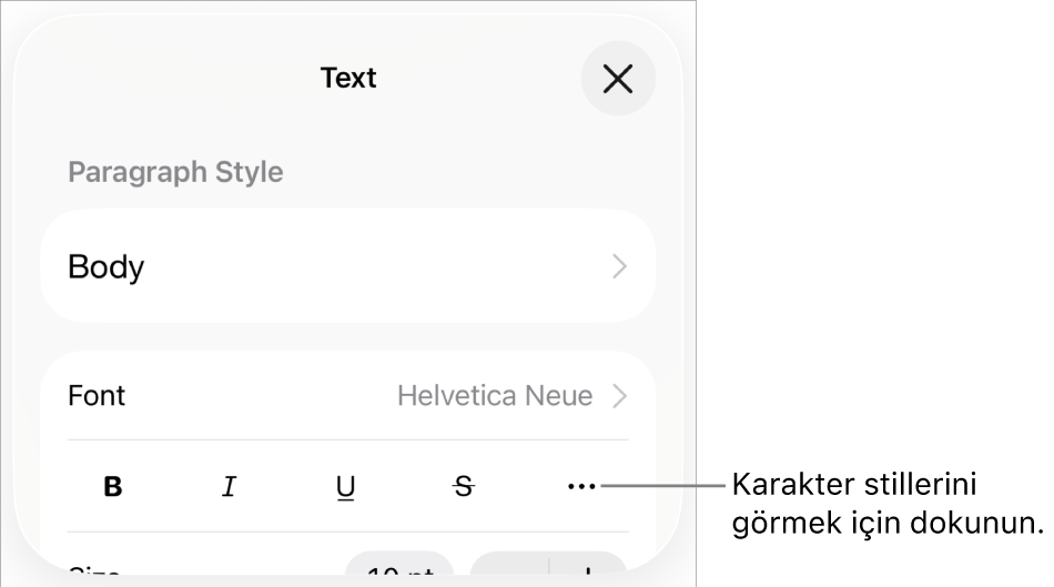 Kalın, İtalik, Altı Çizgili, Üstü Çizgili ve Daha Fazla Metin Seçeneği düğmeleri ile Biçim denetimleri.