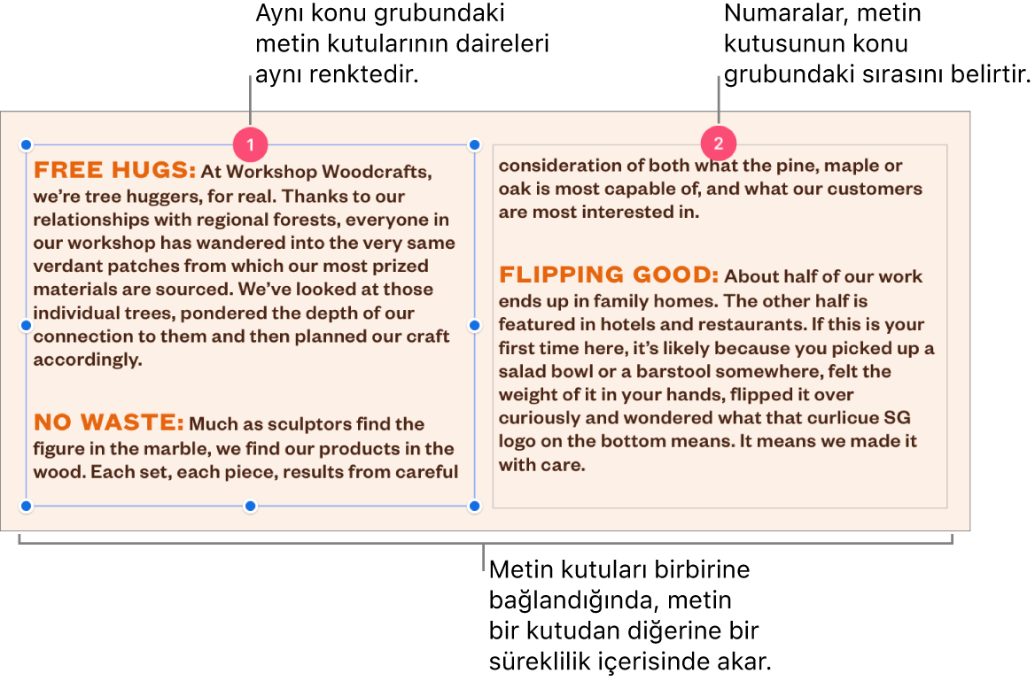 En üstte içinde 1 ve 2 sayıları olan mor daireli iki metin kutusu.
