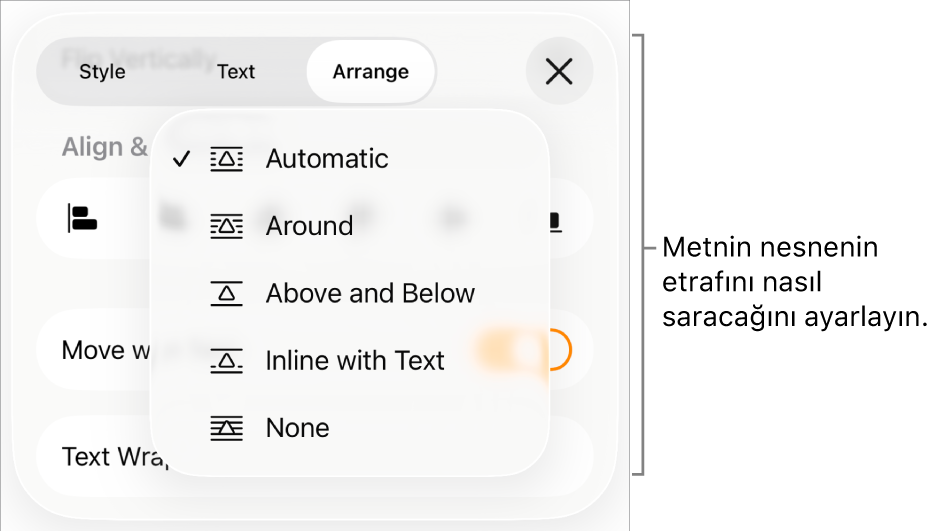 Otomatik, Etrafında, Üstünde ve Altında, Metinle Satır İçi ve Yok için ayarlar içeren Metin Kaydırma denetimleri.