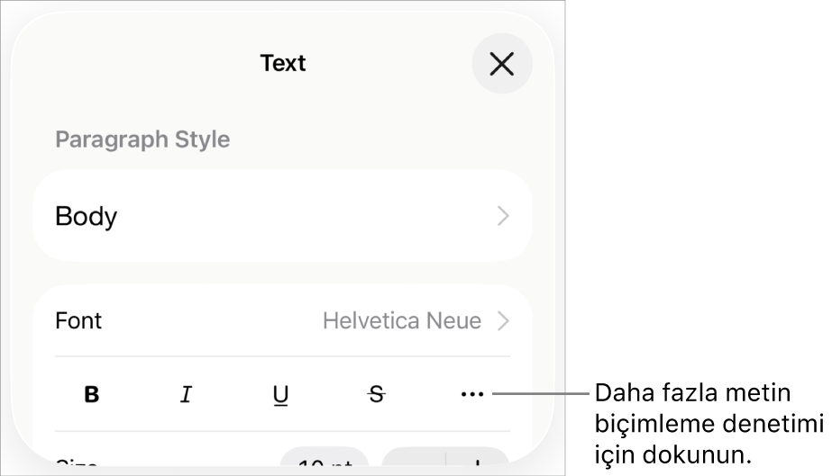 Biçim denetimlerinin Metin sekmesi, Daha Fazla Metin Seçeneği düğmesinin belirtme çizgisi ile birlikte.