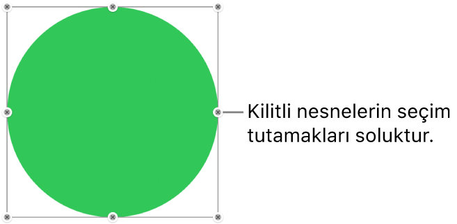 Soluk seçim tutamakları bulunan kilitli nesne.