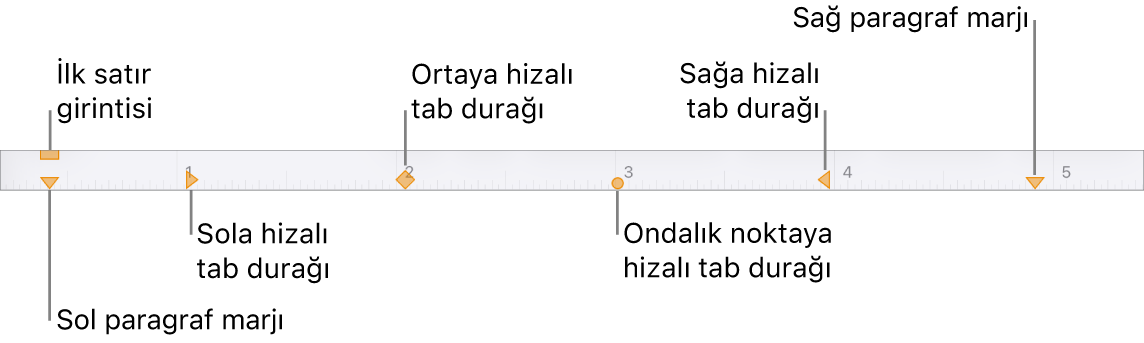 Sol ve sağ marjlar, ilk satır girintisi ve dört tür tab durağı için denetimleri gösteren cetvel.