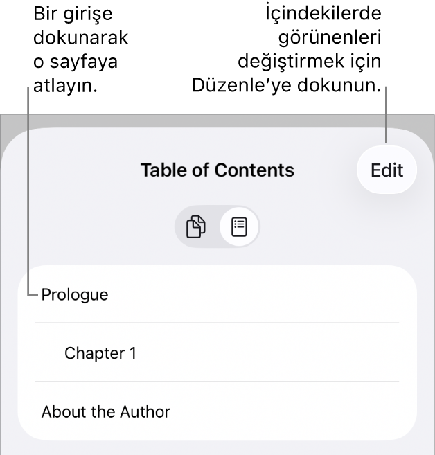 Listedeki konu başlıklarıyla birlikte içindekiler görüntüsü. Düzenle düğmesi sağ üst köşededir, en altta da Sayfa Küçük Resmi ve İçindekiler düğmeleri bulunur.