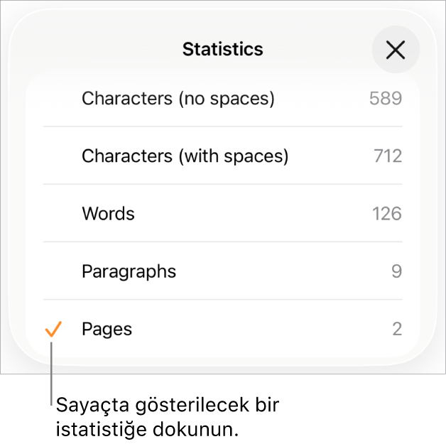 Boşluksuz ve boşluklu karakter sayısını, sözcük sayısını, paragraf sayısını ve sayfa sayısını gösterme seçeneklerini gösteren İstatistikler menüsü.