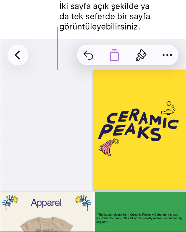 Birbirine bakan iki sayfa olarak görüntülenen sayfalara sahip bir belge.