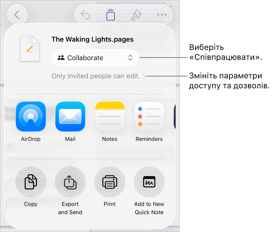 Меню «Поширити» з вибраним угорі елементом «Співпраця», а також параметрами доступу й дозволів унизу.