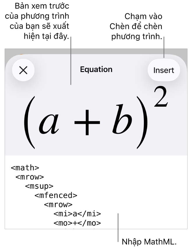 Hộp thoại Phương trình, đang hiển thị phương trình được viết bằng các lệnh MathML và bản xem trước của công thức ở bên trên.
