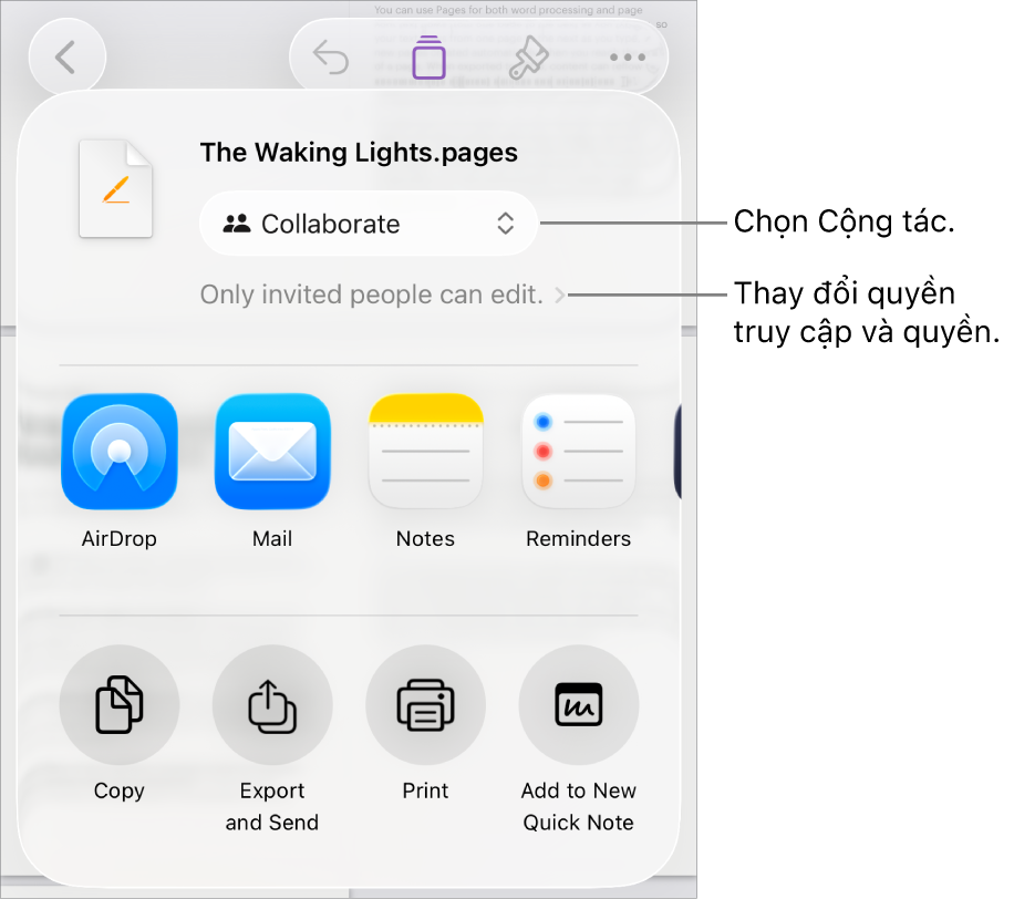 Menu Chia sẻ với Cộng tác được chọn ở trên cùng và các cài đặt quyền truy cập và quyền ở bên dưới.