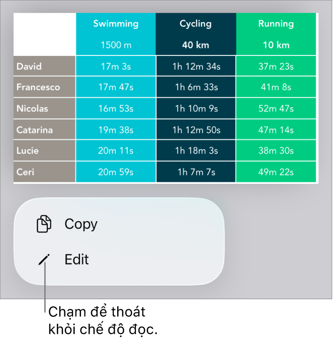Một bảng được chọn và phía dưới bảng đó là menu với các nút Sao chép và Sửa.