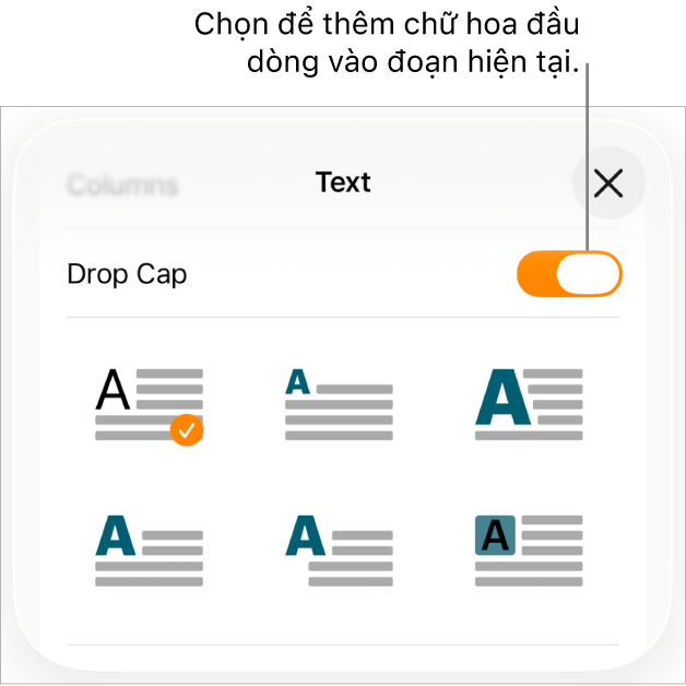 Các điều khiển Chữ hoa đầu dòng nằm trong menu Văn bản.