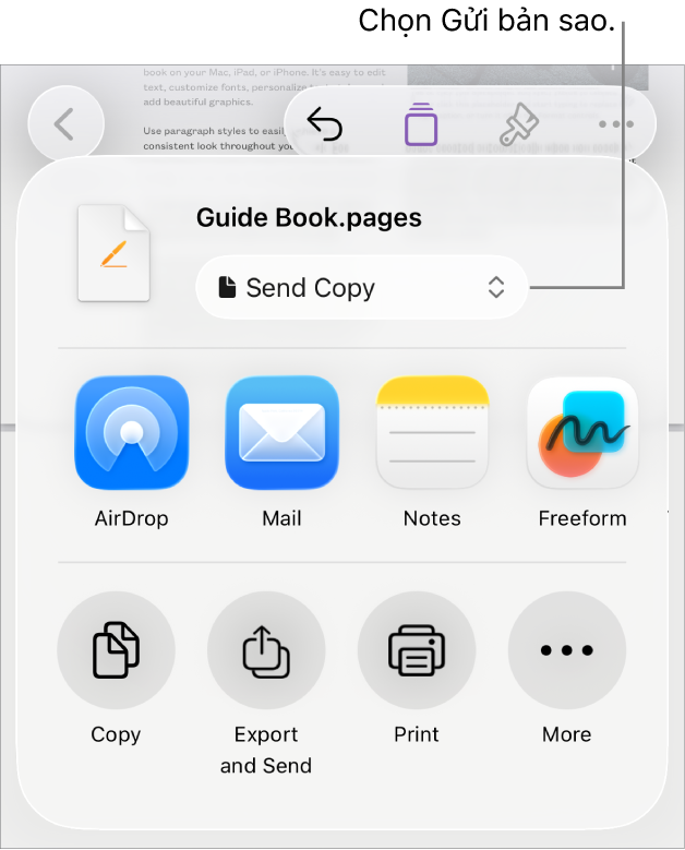Menu Chia sẻ với Gửi bản sao được chọn ở trên cùng.