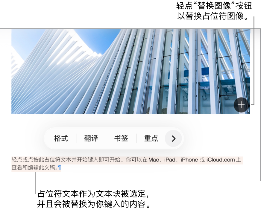 占位符文本和图像。