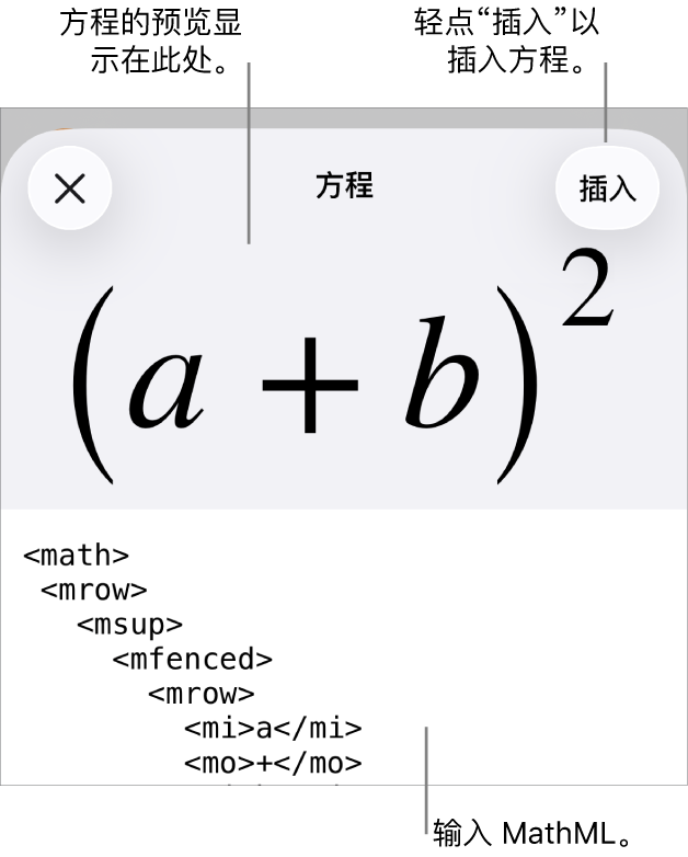 “方程”对话框，显示使用 MathML 命令所写的方程，以及上方公式的预览。
