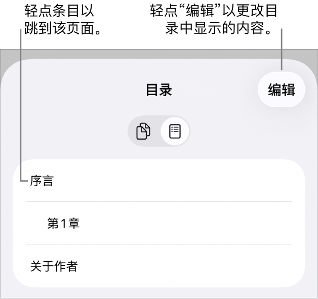 目录视图,列出了小标题。右上角是“编辑”按钮,底部是“页面缩略图”和“目录”按钮。