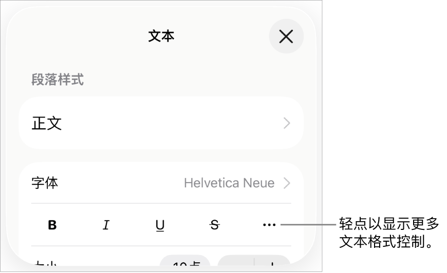 “格式”控制的“文本”标签，其中标注框指向“更多文本选项”按钮。