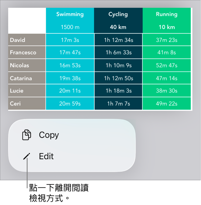 已選擇表格,其下方是包含「複製」和「編輯」按鈕的選單。