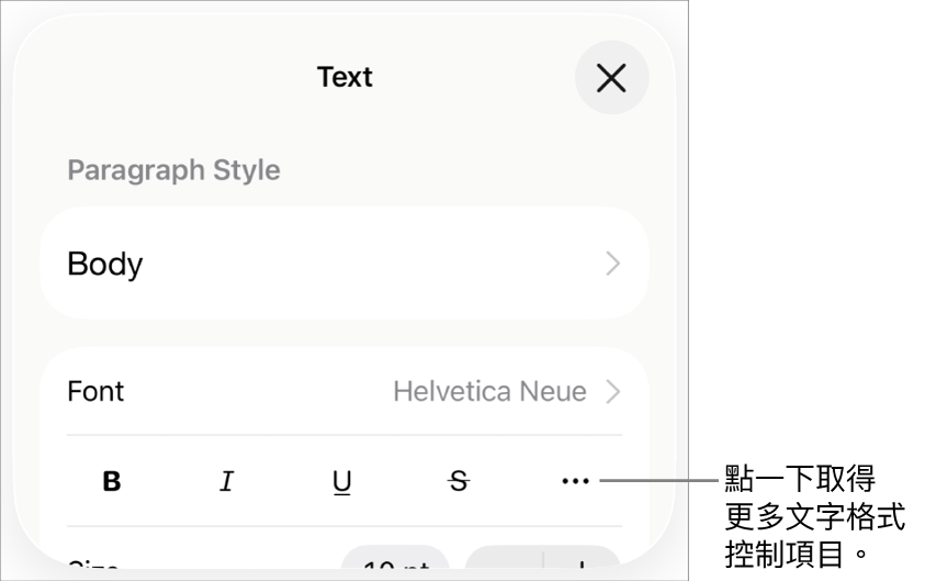 「格式」控制項目的「文字」分頁,附有文字説明指向「更多文字選項」按鈕。