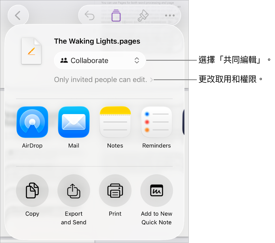 「分享」選單的最上方已選擇「共同編輯」，下面是取用權限和權限設定。