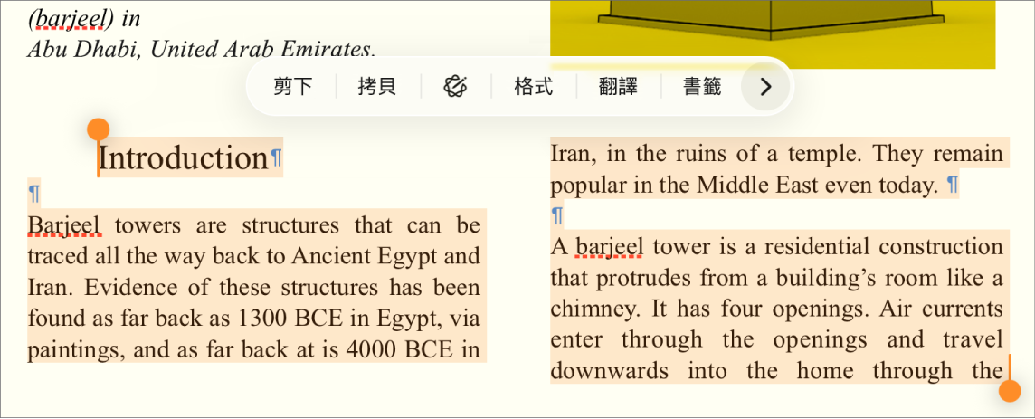 文字,其中顯示分段標記和章節標記的符號。