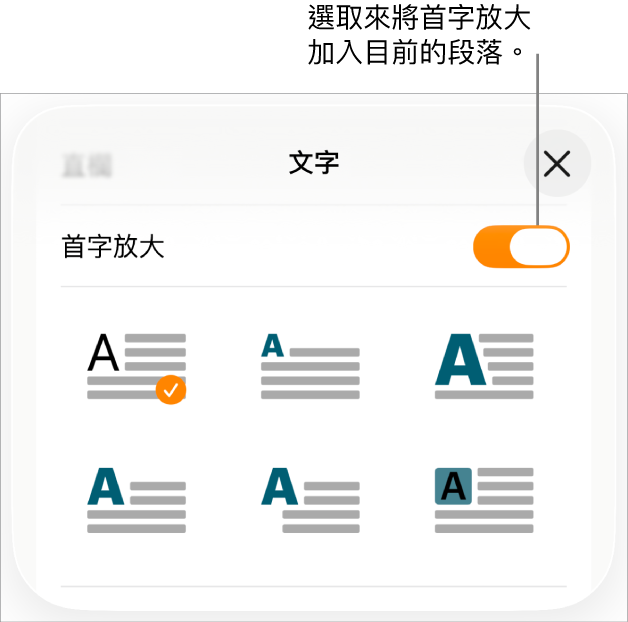 「首字放大」控制項目位於「文字」選單中。