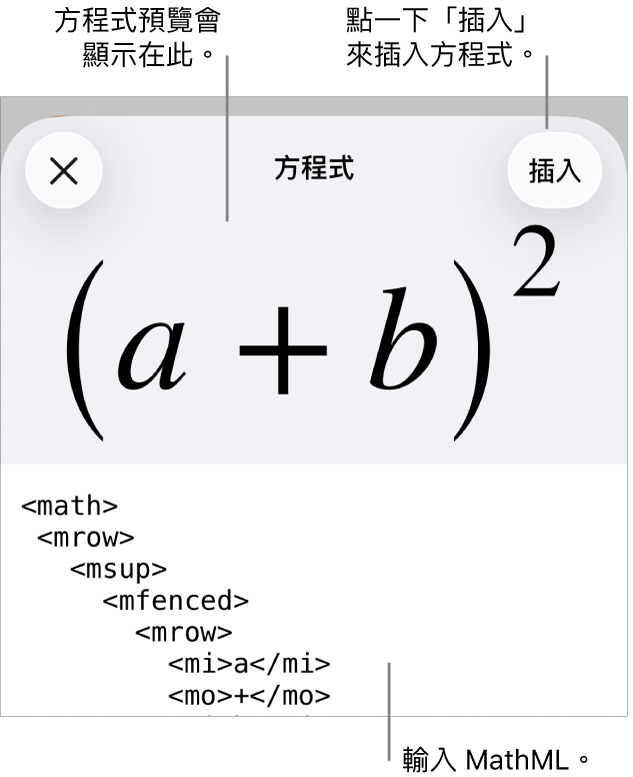 「方程式」對話框，顯示使用 MathML 指令寫入的方程式，上方是公式的預覽。