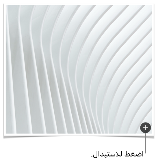 صورة عليها زر استبدال الصورة.