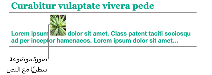 صورة في موضع سطري مع النص.