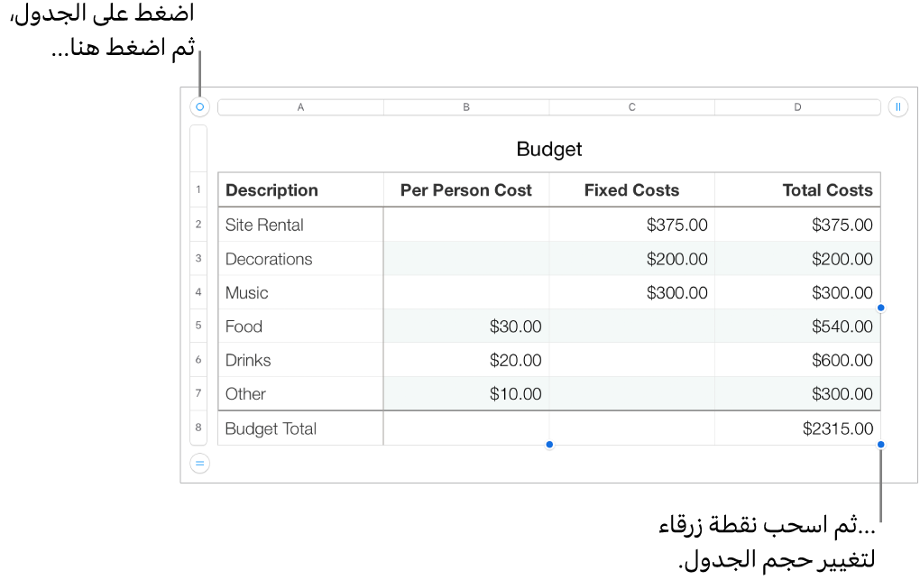 جدول محدد وبه نقاط زرقاء لتغيير الحجم.