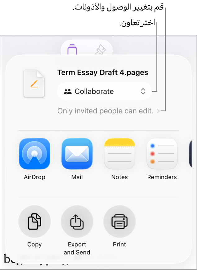 القائمة مشاركة حيث يظهر بها الخيار تعاون محددًا في الجزء العلوي، وإعدادات الوصول والأذونات في الجزء السفلي.