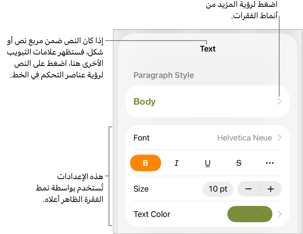 القائمة تنسيق تعرض عناصر التحكم في النص لإعداد أنماط الأحرف والفقرات والخط والحجم واللون.