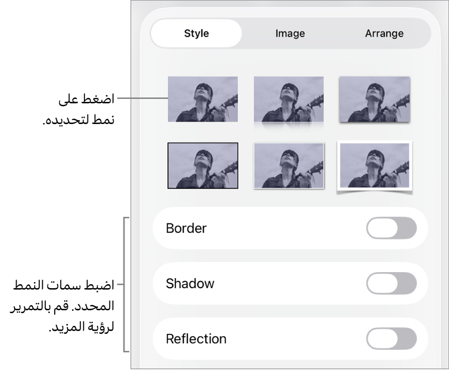 علامة تبويب النمط من قائمة التنسيق مع أنماط الكائنات في الجزء العلوي وعناصر التحكم أدناها لتغيير الحدود والظل والانعكاس والتعتيم.