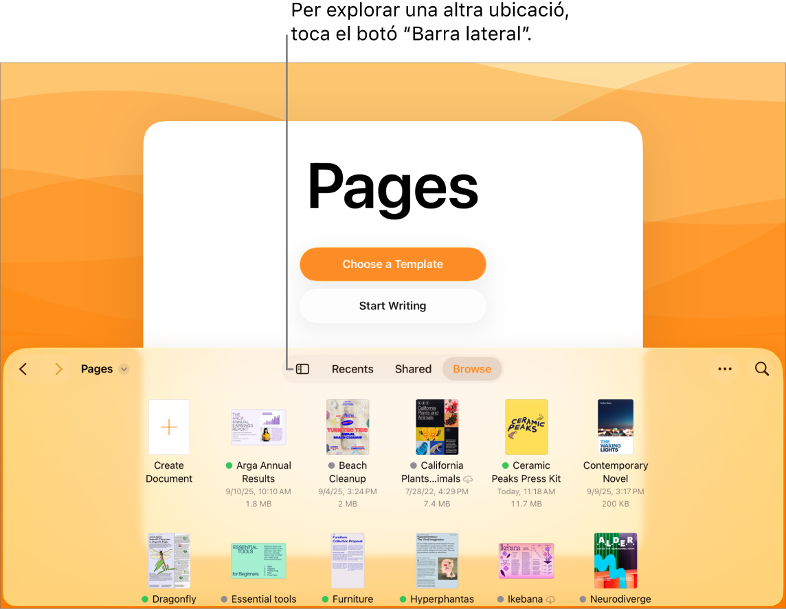 Vista d’exploració del gestor de documents amb el botó “Barra lateral” a l’angle superior esquerre. A la part superior dreta, hi el els botons “Afegeix”, “Nova carpeta” i “Icones” (per poder ordenar per nom, data, mida o etiqueta) i els botons “Selecciona” i “Cerca”. A sota hi ha miniatures de documents existents.