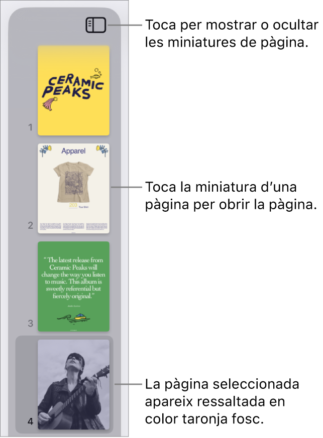 Vista “Miniatures de pàgina” a la part esquerra de la pantalla amb una pàgina seleccionada. El botó “Opcions de visualització” a sobre de les miniatures.