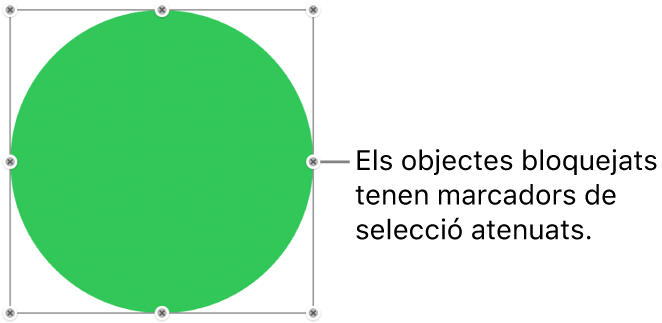 Un objecte bloquejat, amb els marcadors de selecció atenuats.
