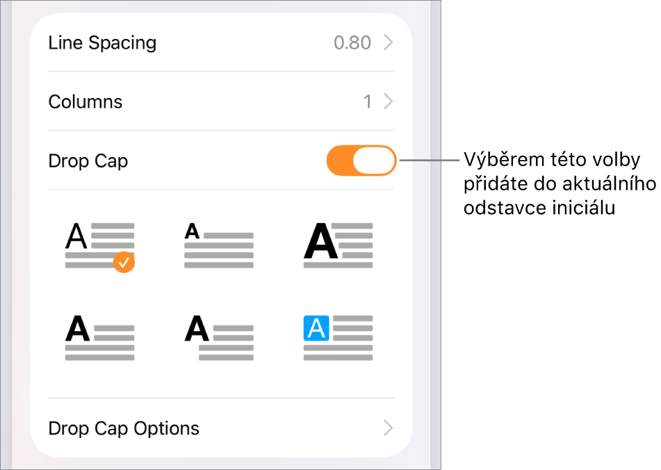 Ovládací prvky pro volbu Iniciála v nabídce Text
