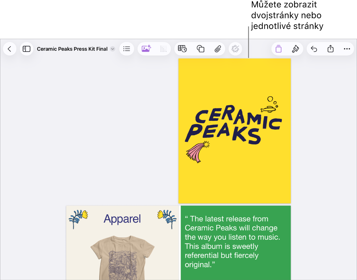 Dokument se stránkami zobrazenými jako dvojstránky